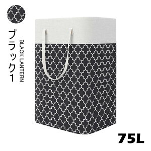 75L eʃh[oXPbg ܂肽OK 󂩂 [{bNX E߂ [ h v[g  h[BOX