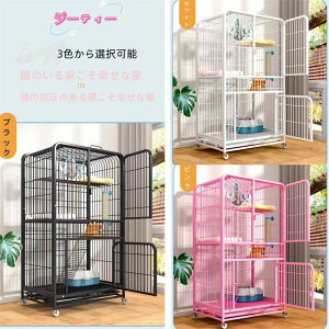 y2024NVzL P[W ؐ X`[t[ |pt Xebv4 t LbgP[W 3i LX^[t |ȒP  Eh~ 