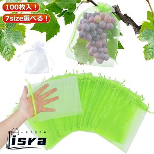 hlbg ʎ ʎ  ʎ K[fjOpi 100 |pi ʕیobO ʎp h В hlbg ʕیlbg 