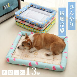 Ђ ybgxbg ėp ڐG⊴ ⊴n xbh Lxbh  N[ ⊴ ЂN[}bg Lp ybg}bg ėp