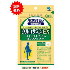 小林製薬 栄養補助食品 グルコサミンEX (240粒) 30日分 × 1個 【送料無料】