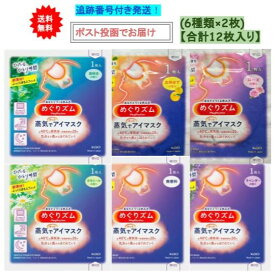 【送料無料】蒸気でホットアイマスク アソート12枚セット(無香料、ラベンダー、完熟ゆず、ローズ、カモミール、森林浴)【6種類×2枚(合計12枚)】