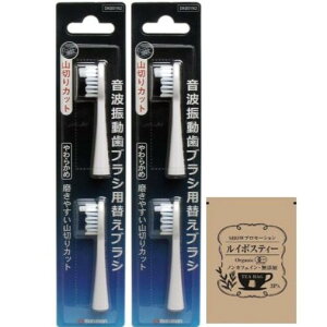 w̃N[|zz yz[Zbgi] PRO SONIC gUuVpւuV v\jbNp R؂Jbg 2{ [DK001N2] × 2 + SHOWC{XeB[ 1