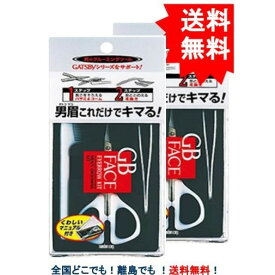 楽天市場 ギャツビー アイブローキットの通販