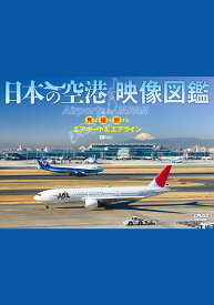 楽天市場 静岡空港 沖縄の通販