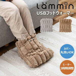 USB tbgEH[}[ dC  Lammin GLK-221 􂦂 |R|R q[^[ ObY ₦΍ fXN[N 3iKx Rt NbV A[EH[}[ 3way