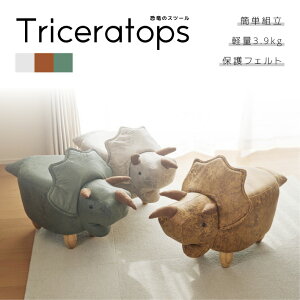 Xc[  Aj} ֎q Ibg}  \t@ NbV CX `FA  EF-ST09