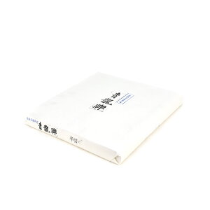  p历yv  100zA荗