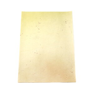  ȗ yqؔ  50(10F/e5)z