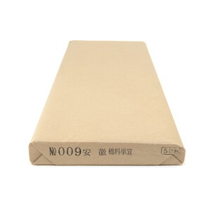  p历yNo.009 JǗP 90×240cmzA荗