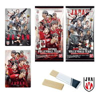 在庫有、即納 JAPAN NATIONAL VOLLEYBALL TEAM 男子日本代表ver. ツインウエハース 2026 20個入りBOX (食…