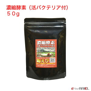 yT̂߁zZkyfioNeAtj@50g Gr@ځ@ANAE@@Mы@shrimp aquarium water plants
