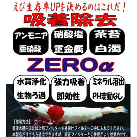 楽天市場 シュリンプ 汽水の通販 楽天市場 シュリンプ 汽水の通販