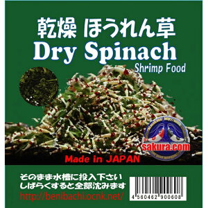 S_@ق񑐁@20g Gr@ځ@ANAE@@Mы@shrimp aquarium water plants