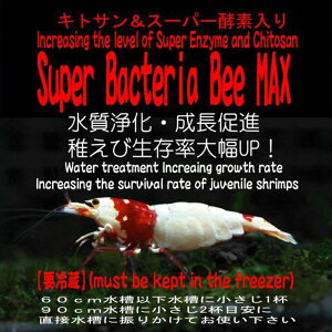 moNeAnX[p[oNeA@r[}bNX@Super Bacteria Bee MAX@100gipj@Gr@ځ@ANAE@@Mы@shrimp aquarium water plants