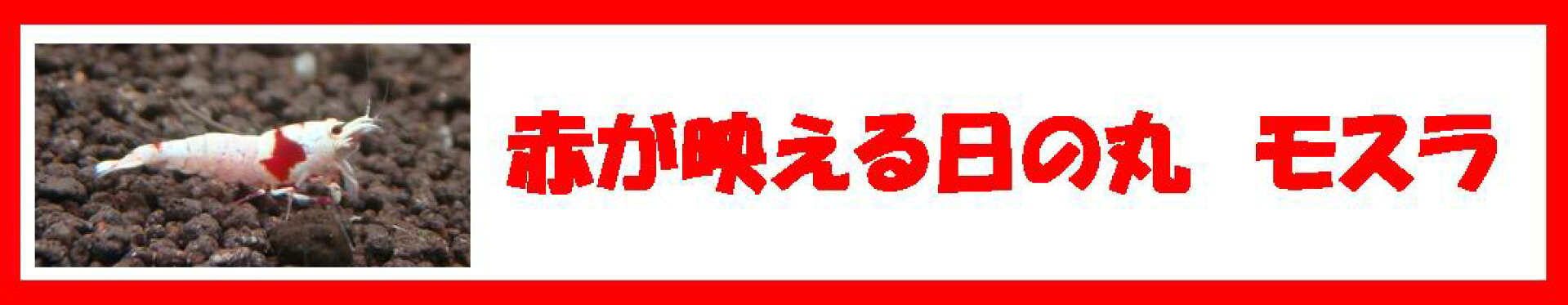 日の丸　モスラ