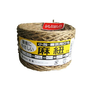 W[gR 100g60myЂEЂEqE[vEW[gREE[vEREEzr[EDIYE|z