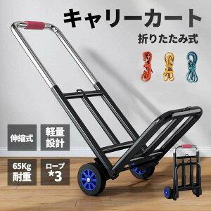 AEghA z L[J[g ^тɕ֗  ω׏d65KG RpNg É  ו^ԃJ[gו^ J[g ܂肽ݎ RpNg y Ɩp ܂肽 L