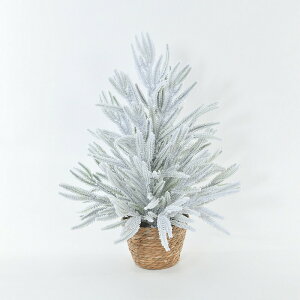 DreamPet V PE [ 60cm A  ~j NX}Xc[ NX}X i A c[  IuWF