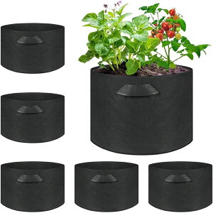 | tFg A K[f ؍͔| A琬 6Zbg sDz|bg 瑣i v^[