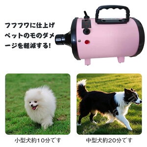 ybghC[ phC[@~JU@@Lk\z[X hofUC@啗ʁ@u[ } ጸ ^ɍœK@x\ ybgp phC