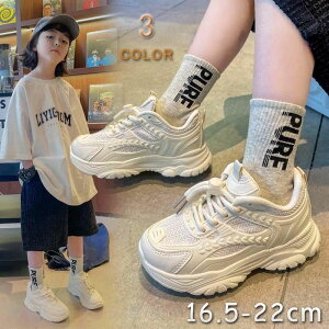 j̎q H LbY Xj[J[ t y ̎q q WjAV[Y LbYC  C qǂ  xr[C X|[c ʋC    V[Y