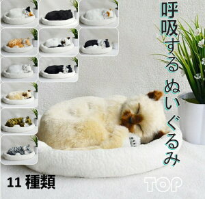 y3_15%offN[|zzI ċz ʂ L Aj} xbht ċz qD 2 3 4 v[g Mtg  qꏏɂ   11 qD 2 3