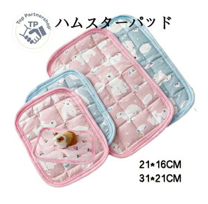 y3_15%offN[|zzI ėpybgp̃pbh S5^Cv2TCY }bg Ή nX^[p œK K V sN u[ O[