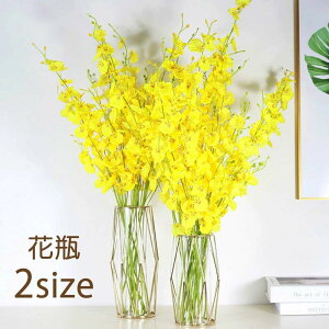 y3_15%offN[|zzI ԕr Ԃт Ԋ k KX NA  S[hJ[  bL 22cm 킢  Vv