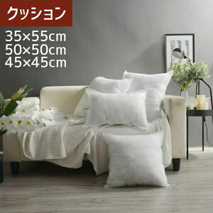 yP10{+ő2,000~OFFN[|zzz NbV sDz ȓ  CeAG lp XNGA 50×50cm 45×45cm ` 35×55cm p^ ĝ Vv s rWlX