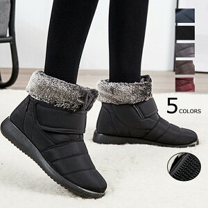 [gu[c Xm[u[c fB[X V[gu[c N ~ V[Y C u[c Xm[V[Y y^R [q[  [gu[c {A y h ₷ ₷ 