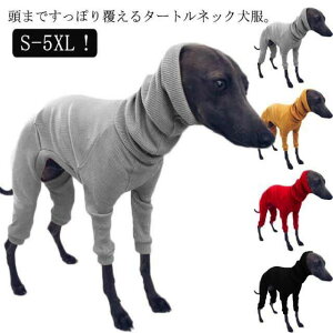 y3_15%offN[|zzI S-5XLI ^[glbN hbOEFA ybgEFA  ^ ^ pW} C^O T[L   nClbN XtBbg H~  tVc Jbg