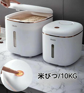 zCg vX`bN Lb`[ 10kg Lb`pi ۑe  {bNX Ď[ Ăт