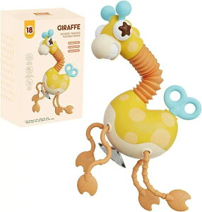 y3_15%offN[|zzI 1Ύpeb\[ | 2023 Ԃ̂߂̐VvXgOo |HiO[h̃VR[