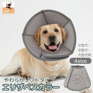 ySiԌ10OFFz lR Ck ی p  p _炩 \tg^Cv ybgpi Lp ^ ^ ^ p GUxXJ[
