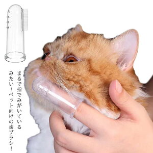 yyVX[p[SALE10%OFFz Ck lR  Ԃ炵 uV ybgp ^ ^ ^ wuV LpuV  puV  L ݂-ss