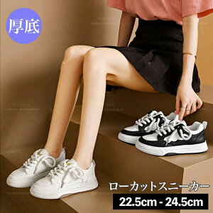 y3_15%offN[|zzI  [Jbg Xj[J[ fB[X ؍ V[Y ʋ ʊw  l ꂢ 킢 X|[c ^ JWA ₷ PUU[ l 