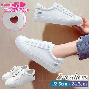 y3_15%offN[|zzI n[g [Jbg Xj[J[ fB[X  tbg ʋ ʊw  킢 l V[Y C JWA ꂢ Vv l lq