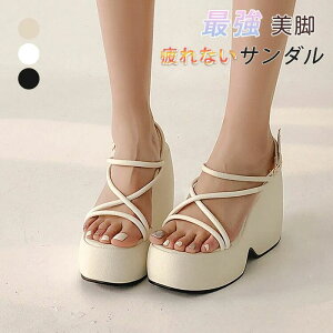 y3_15%offN[|zzI XgbvT_  fB[X 12.5cm T_ r[`T_  _炩 q[T_ r i 킢  Vv hn K 