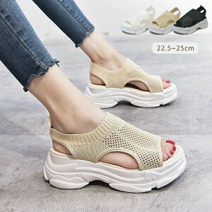 y3_15%offN[|zzI X|T X|[XT_ T_ T_  bV jbg RtH[g fB[X ؂ ₷ I[vgD q[6cm K ʋC K 