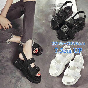 y3_15%offN[|zzI X|[cT_ X|[cT_ fB[X T_ 7.5cm ₷ ɂȂ y h JWA ăr[T Xj[J[T_ Xgbv