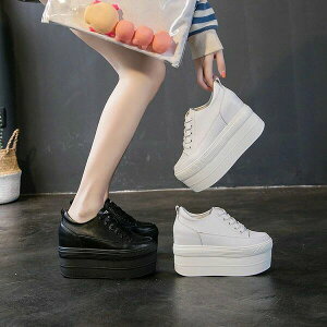 y3_15%offN[|zzI Xj[J[ fB[X  Cq[Xj[J[ 12cm q[Xj[J[ Cq[ gAbv Xj[J[ PU C ₷ ₷ r 芴 