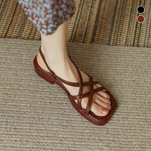 y3_15%offN[|zzI OJT_ fB[X Xgbv XNGAgD T_ q[3cm ߃q[ [q[ ҂ݍ ₷ ₷ y  t@bV 