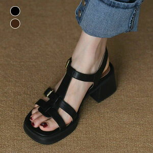 y3_15%offN[|zzI OJT_ T_ X|[cT_ T_ OJT_  PU fB[X T_ 6cmq[ tbg҂ ₷ Xg