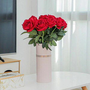  v[g Ԋ Z t[x[X  k sN Mtg CeA ԕr 10x23cm Vv  ԕr ԕr Vvƍ؂̔ CeA ֑} Ƃ̑