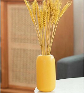 aԕr _  CeA  t[x[X Ԋ zCg ԕr  VvfUC т ֑}  Ԃт ԓu x[X 킢  CG