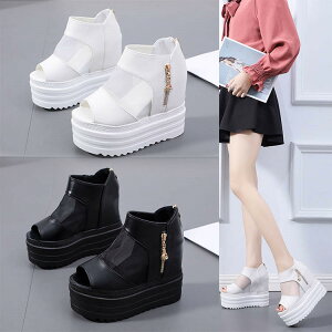 y3_15%offN[|zzI T_ fB[X  X|[cT_ 12cm q[  EFbW\[ ₷ ƂȂ ANXgbv  ɂ ₷ 