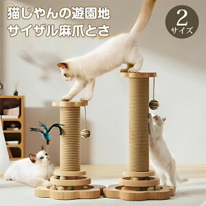 L ܂Ƃ L ܌ XgX lR ܂Ƃ|[ ^s bNX L Lbg^[ ؐ u L^[ Lpi ybgp  LJtF 46cm ܌