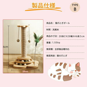 L ܂Ƃ L ܌ XgX lR ܂Ƃ|[ ^s bNX L Lbg^[ ؐ u L^[ Lpi ybgp  LJtF 46cm ܌