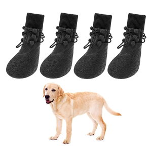 pC~ߌpu[cveN^[ASthybgveN^[\bNXAƉOɓKĂ܂ (6)